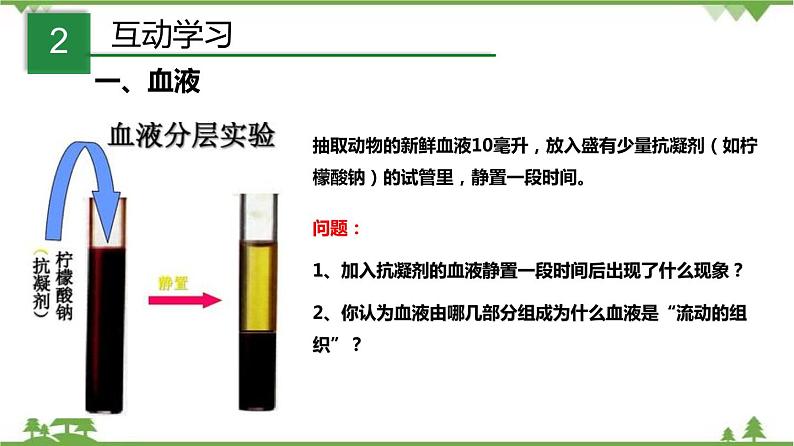 4.3体内物质的运输（第1课时）（课件）（含视频）-九年级科学上册  同步教学课件(浙教版)04
