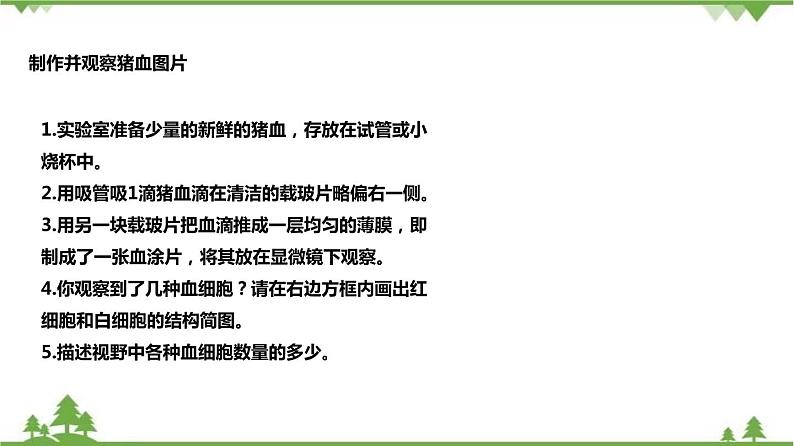 4.3体内物质的运输（第1课时）（课件）（含视频）-九年级科学上册  同步教学课件(浙教版)08