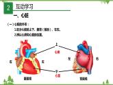 4.3体内物质的运输（第2课时）（课件）（含视频）-九年级科学上册  同步教学课件(浙教版)