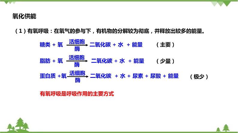 4.4能量的获得（课件）（含视频）-九年级科学上册  同步教学课件(浙教版)06