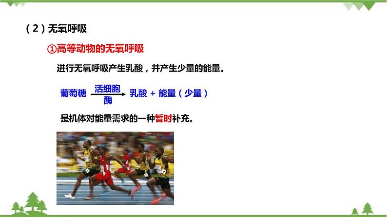 4.4能量的获得（课件）（含视频）-九年级科学上册  同步教学课件(浙教版)07