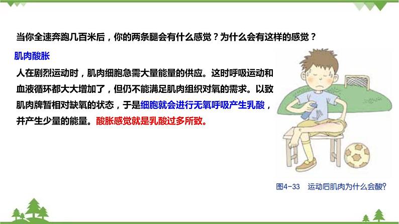 4.4能量的获得（课件）（含视频）-九年级科学上册  同步教学课件(浙教版)08