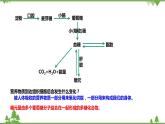 4.5体内物质的动态平衡（第1课时）（课件）（含视频）-九年级科学上册  同步教学课件(浙教版)