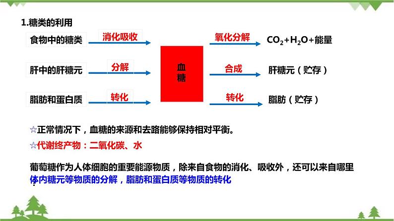 4.5体内物质的动态平衡（第1课时）（课件）（含视频）-九年级科学上册  同步教学课件(浙教版)06