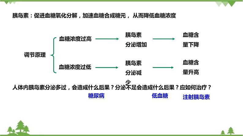 4.5体内物质的动态平衡（第1课时）（课件）（含视频）-九年级科学上册  同步教学课件(浙教版)07