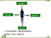 4.5体内物质的动态平衡（第2课时）（课件）（含视频）-九年级科学上册  同步教学课件(浙教版)