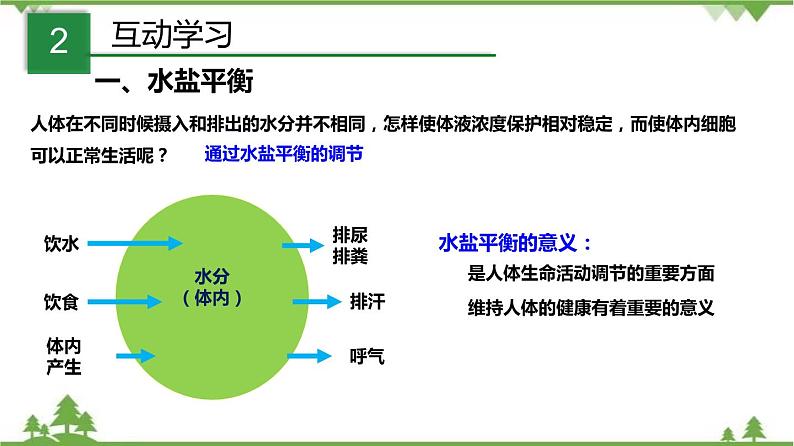 4.5体内物质的动态平衡（第2课时）（课件）（含视频）-九年级科学上册  同步教学课件(浙教版)06