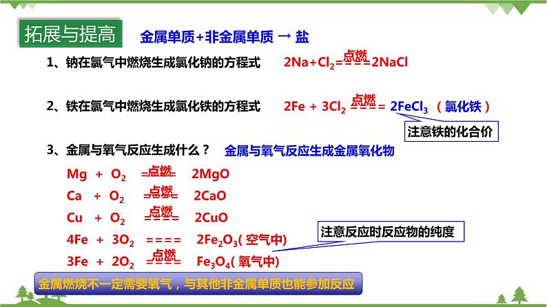 2.5 物质的转化（第2课时）（课件）（含视频）-九年级科学上册  同步教学课件(浙教版)06