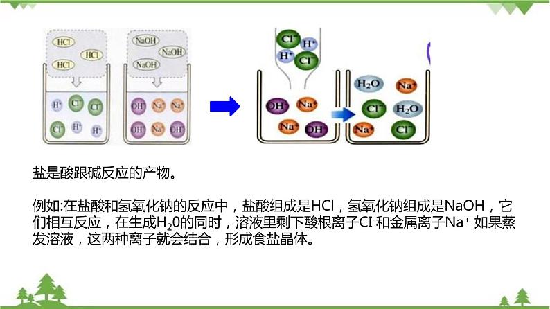 1.6 几种重要的盐（第1课时）（课件）（含视频）-九年级科学上册  同步教学课件(浙教版)03