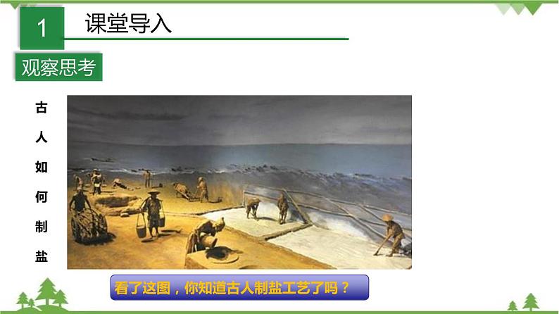 1.6 几种重要的盐（第2课时）（课件）-九年级科学上册  同步教学课件(浙教版)02