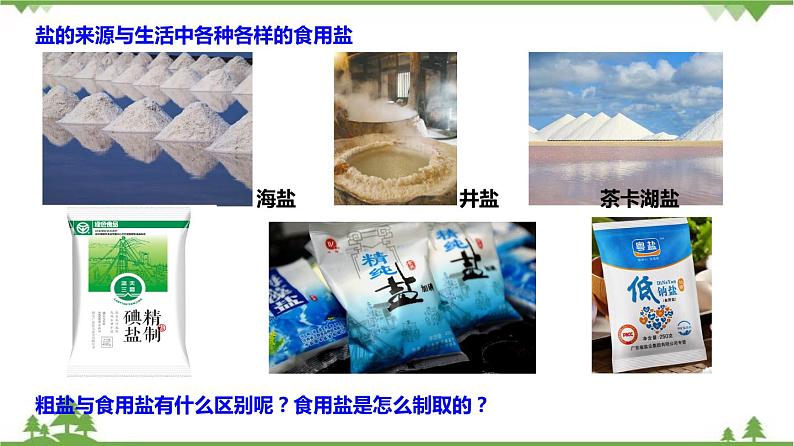 1.6 几种重要的盐（第2课时）（课件）-九年级科学上册  同步教学课件(浙教版)03