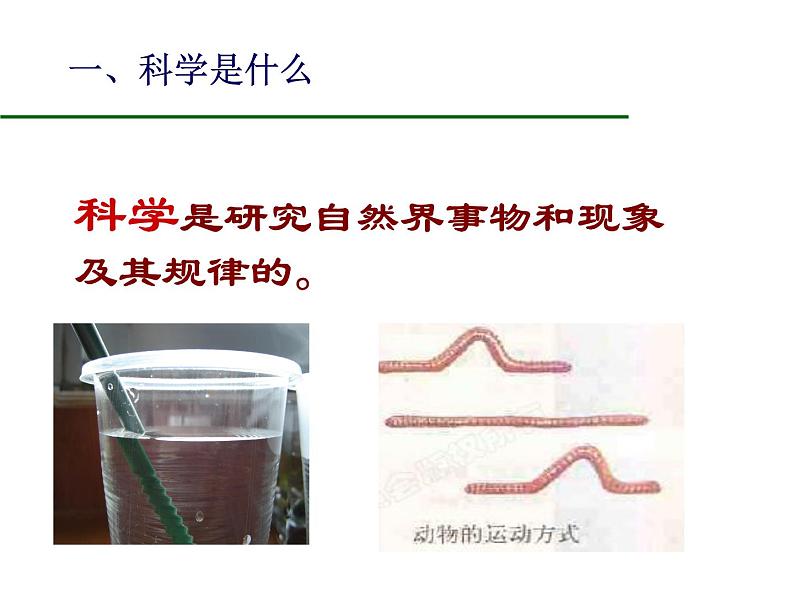 科学是什么 科学入门 课件第8页