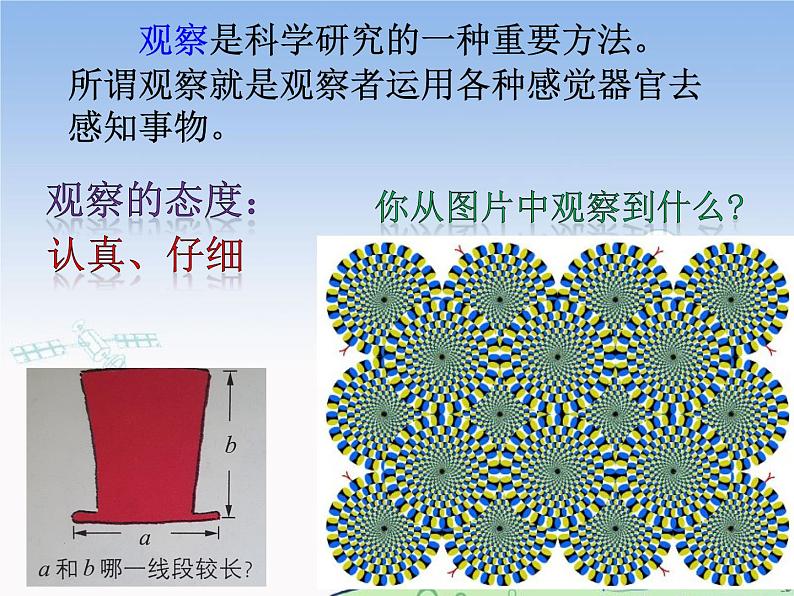 1.3.1 观察和实验 课件05