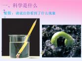 1.1认识科学 课件