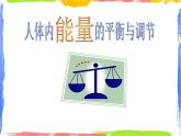 人体内能量的平衡与调节（课件+学生活动单）