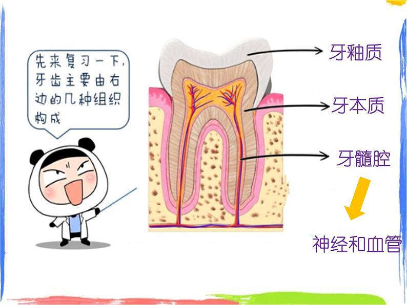 均衡营养——营养与健康 课件03