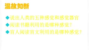 初中科学牛津上海版七年级上册光线和眼说课ppt课件