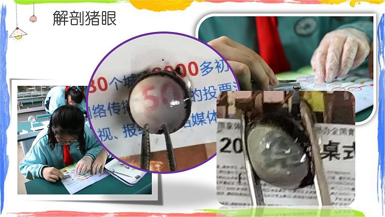 近视与远视——近视的形成原因与矫正(课件+实验单)03