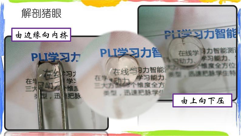 近视与远视——近视的形成原因与矫正(课件+实验单)04