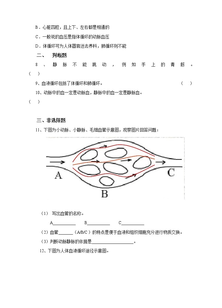 5.3人体内的物质运输 第3课时（课件+教案+练习）02
