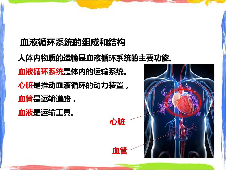 5.3人体内的物质运输 第3课时（课件+教案+练习）05