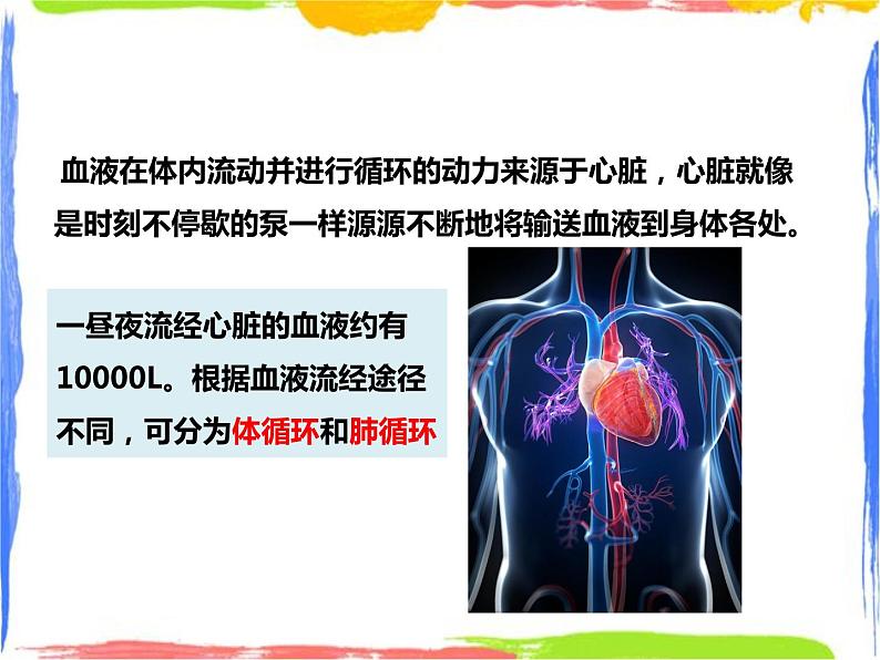 5.3人体内的物质运输 第3课时（课件+教案+练习）06