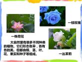 4.1绿色开花植物的营养器官 第1课时 （课件+教案+练习）