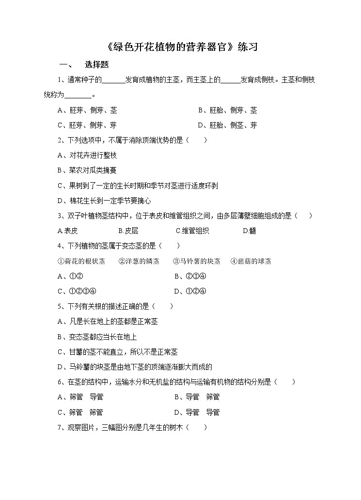 4.1《绿色开花植物的营养器官》（2）习题第1页