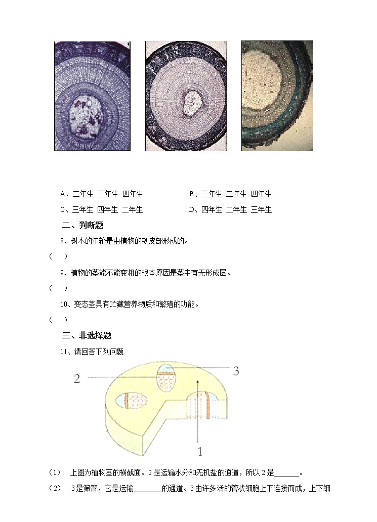 4.1《绿色开花植物的营养器官》（2）习题第2页
