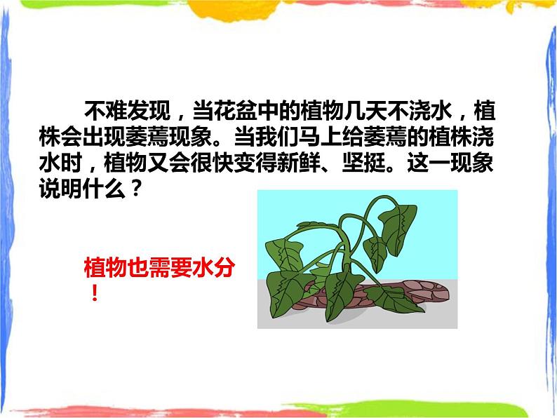 4.2《水在植物体中的代谢》（1）课件第3页