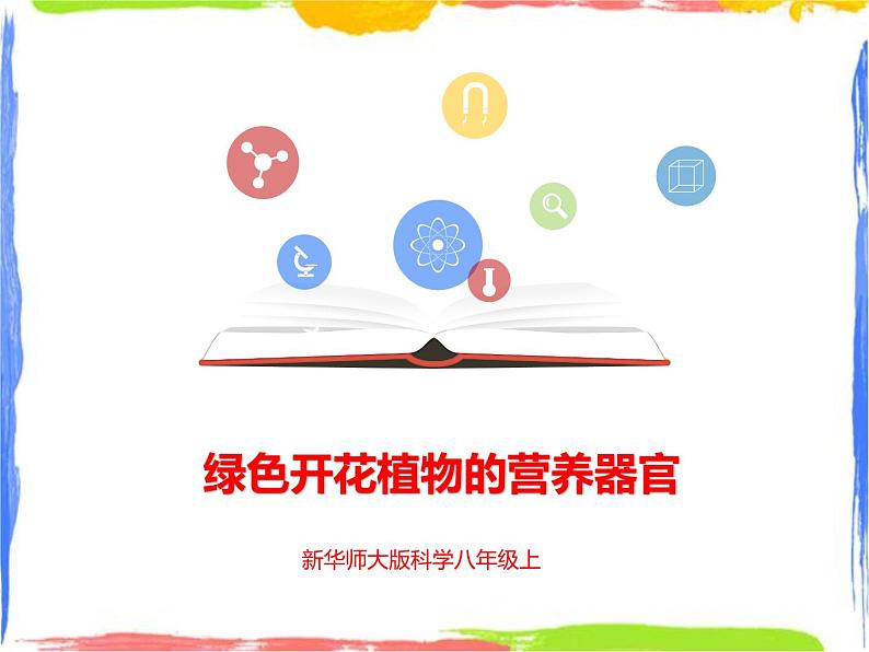 4.1《绿色开花植物的营养器官》（3）课件第1页