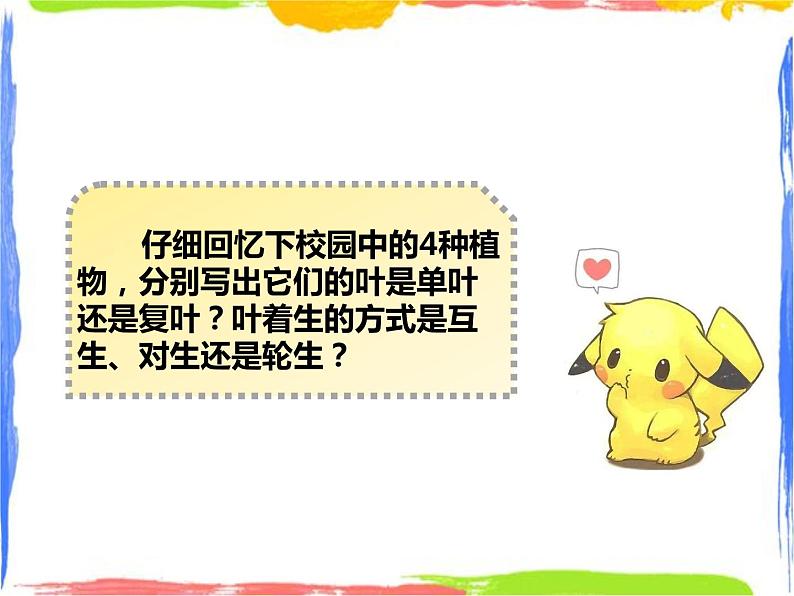 4.1《绿色开花植物的营养器官》（3）课件第3页