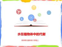 初中科学华师大版八年级上册2 水在植物体中的代谢集体备课课件ppt