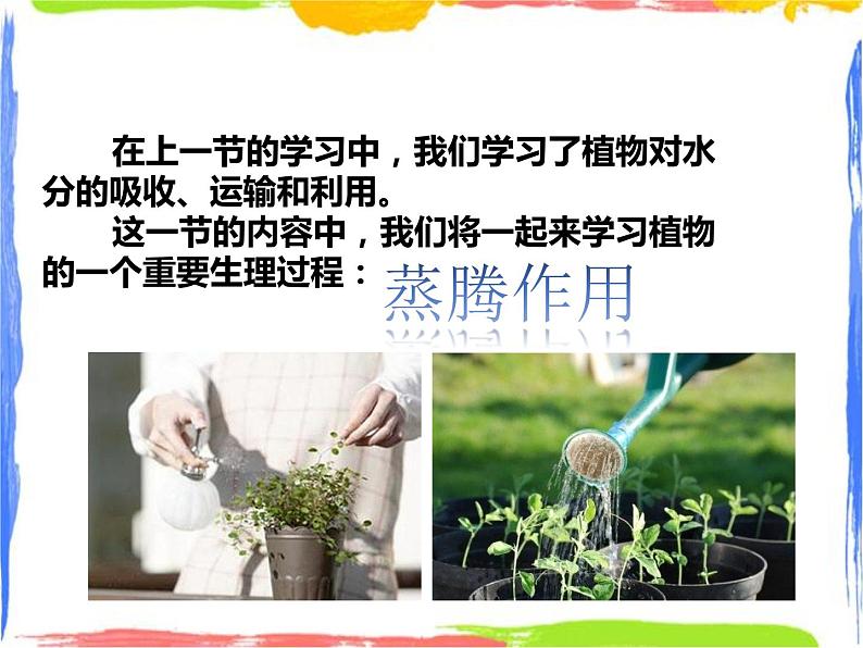 4.2《水在植物体中的代谢》（2）课件第2页