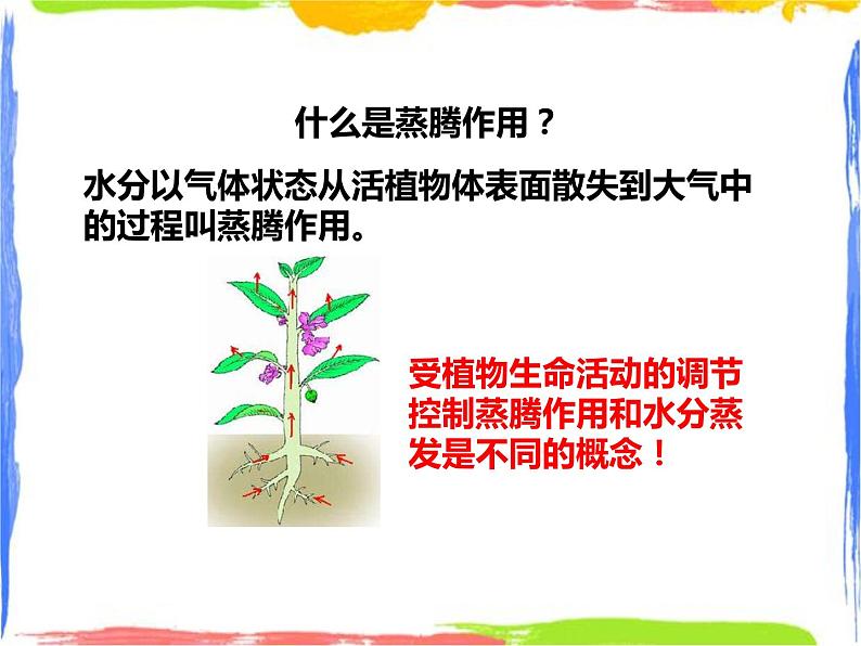 4.2《水在植物体中的代谢》（2）课件第5页