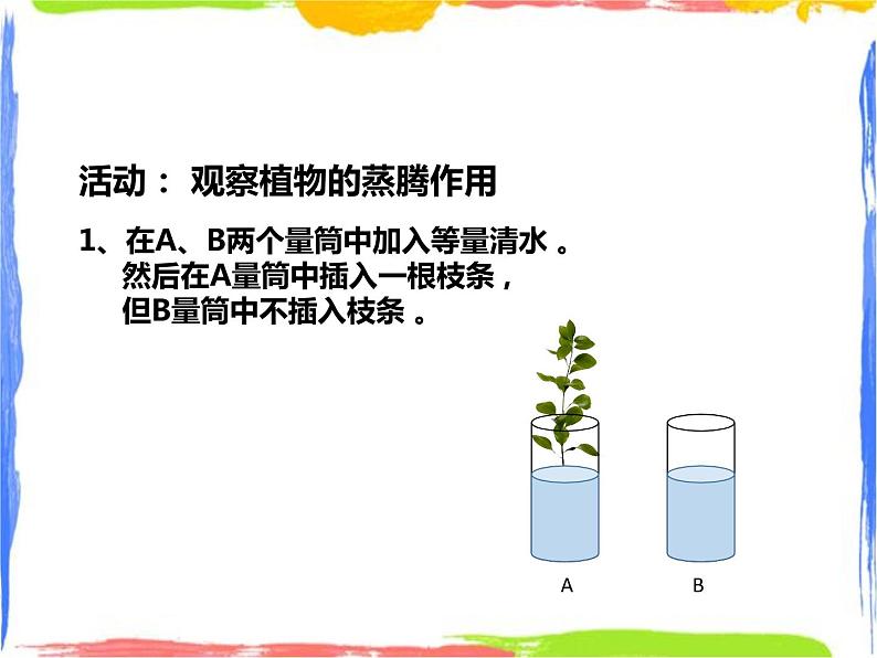 4.2《水在植物体中的代谢》（2）课件第7页