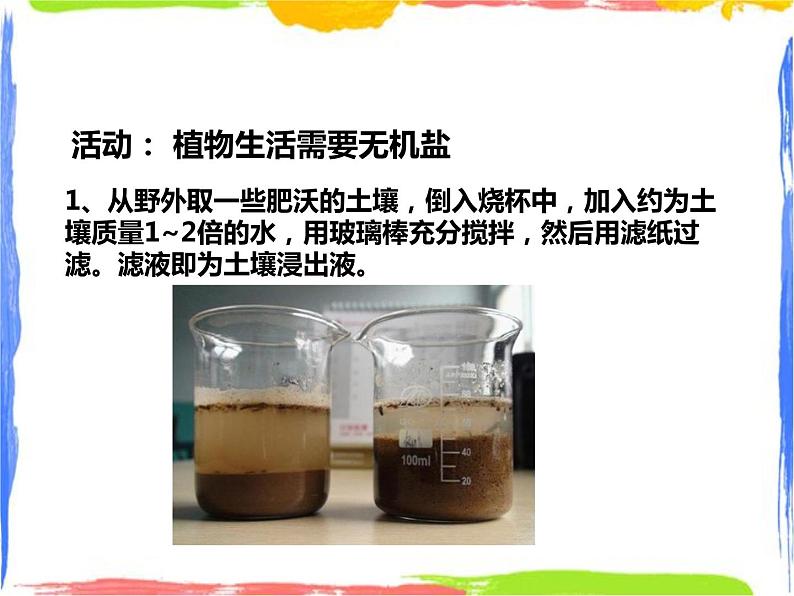 4.3《无机盐在植物体内的代谢》课件第4页