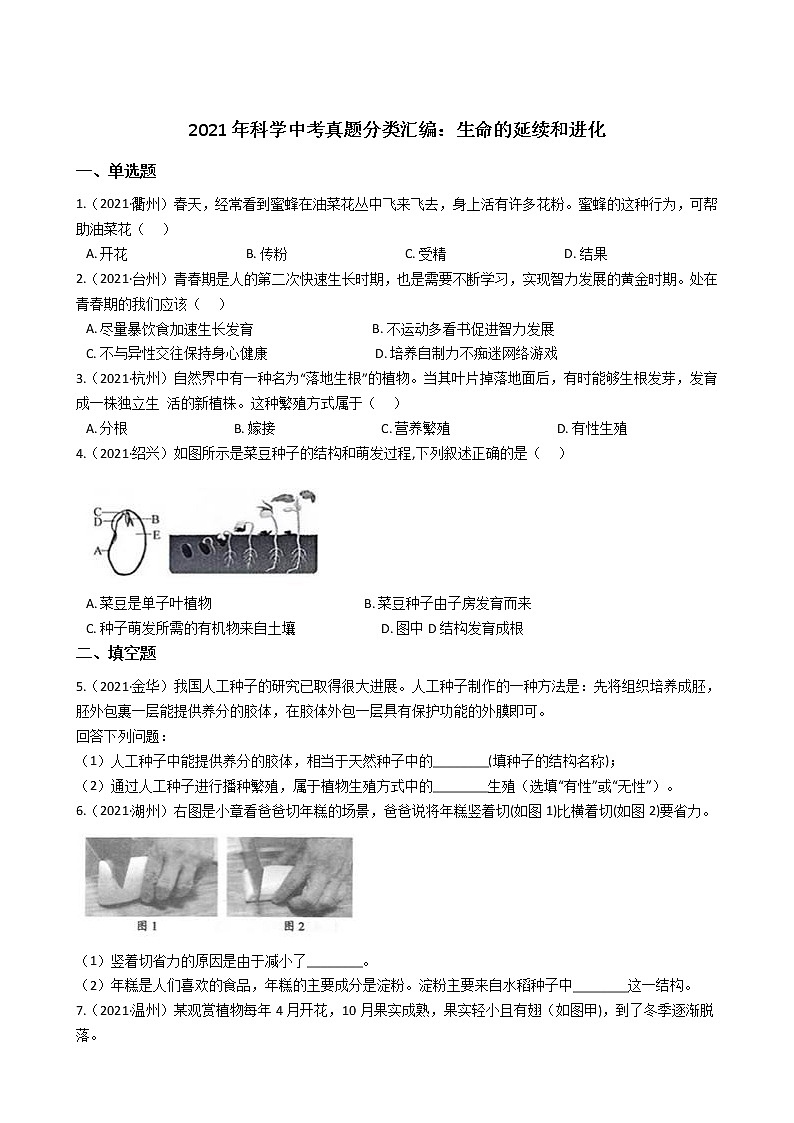 浙江省2021年科学中考真题分类汇编：生命的延续和进化（word版附解析）第1页