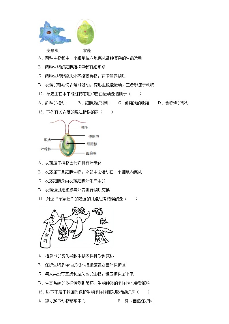 2.6 物种的多样性 练习题-2021—2022学年浙教版七年级上学期科学03