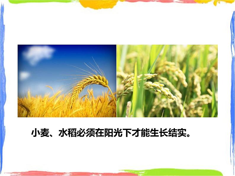 7.4能量的转化与守恒 课件+教案+练习05