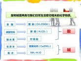 2.1《生活中的酸和碱》课件+教案+练习