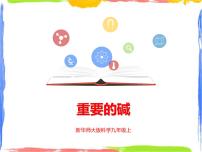 初中科学华师大版九年级上册3 重要的碱教学课件ppt