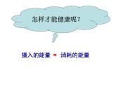 人体内能量的平衡与调节（课件 19张ppt 1份学生活动单）