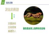 1.1艳丽多姿的生物（二）(课件 23PPT)