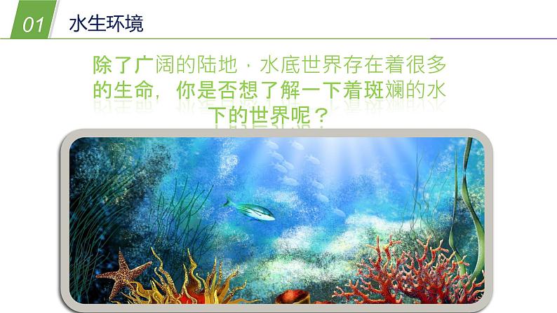 1.1艳丽多姿的生物（三）（课件  36PPT）03