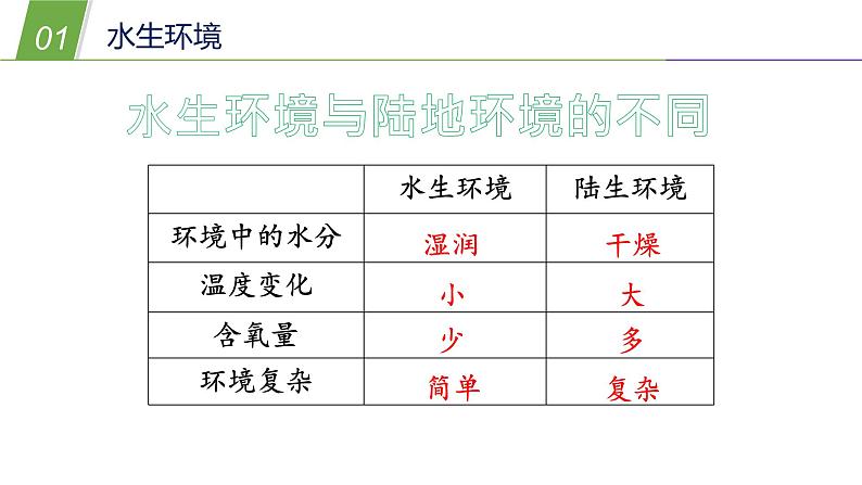 1.1艳丽多姿的生物（三）（课件  36PPT）06