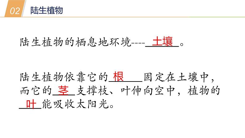 1.1艳丽多姿的生物（一）（课件 36PPT）08