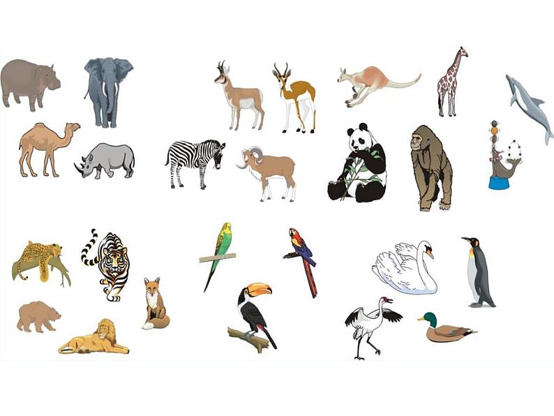 2.4 生物的分类( 课件   40PPT)05