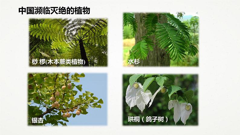 3.3 保护生物多样性 （课件 共26张ppt）08