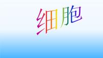 初中科学华师大版七年级上册2细胞精品ppt课件